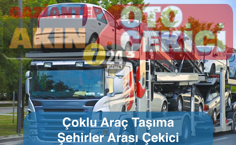 ÇOKLU ARAÇ TAŞIMA